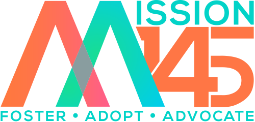 mission145logo_500x240 mission145logo_500x240